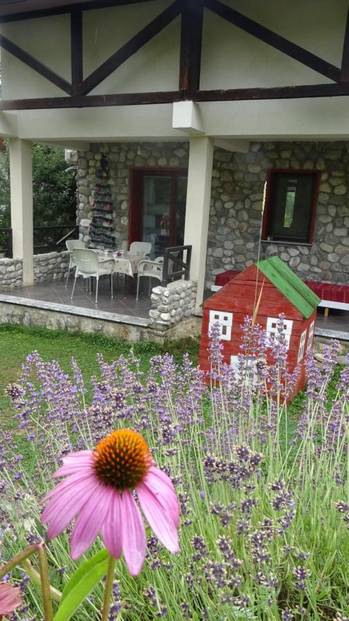 Chalet Mila Mavrovo Eksteriør billede