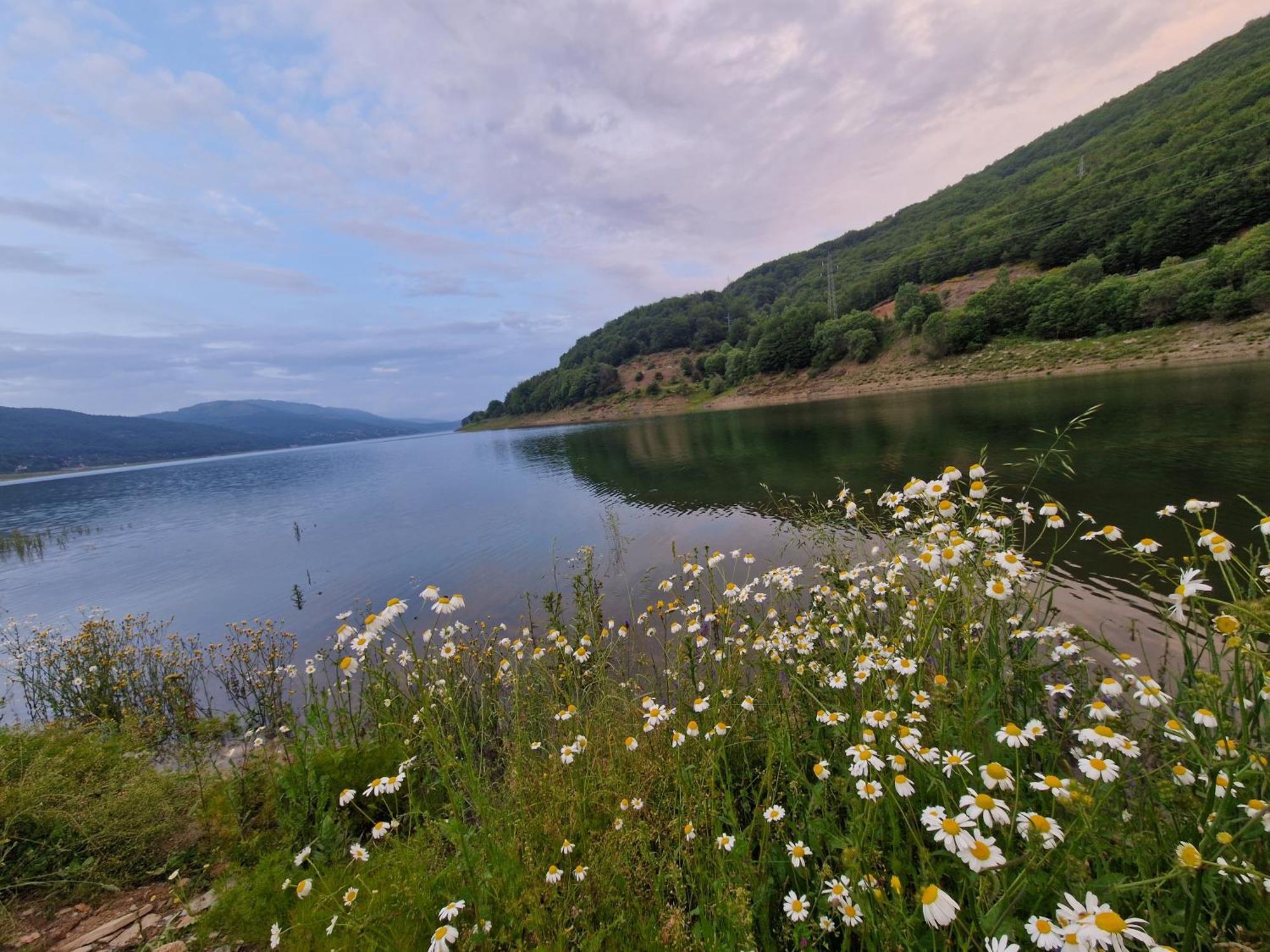 Chalet Mila Villa Mavrovo Eksteriør billede