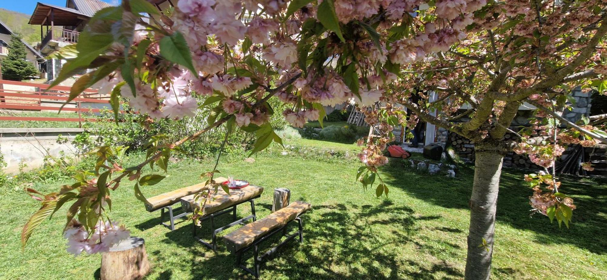 Chalet Mila Mavrovo Eksteriør billede