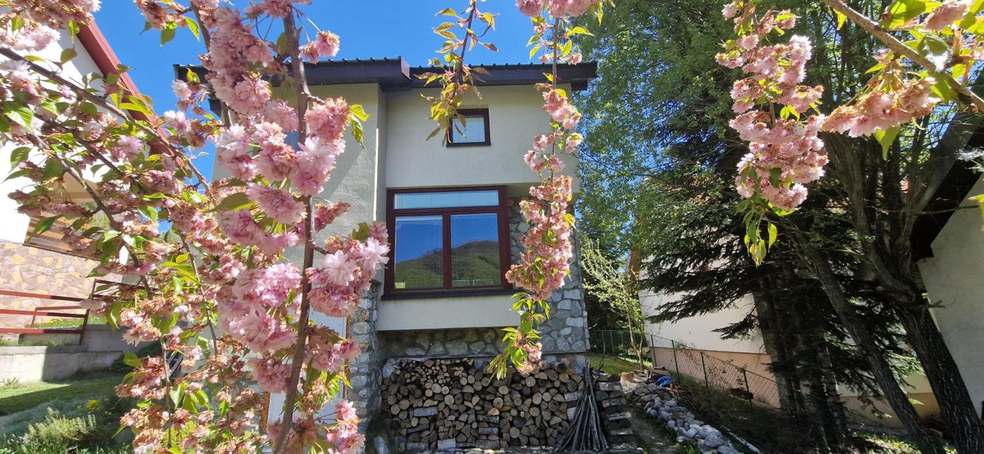 Chalet Mila Mavrovo Eksteriør billede